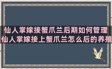 仙人掌嫁接蟹爪兰后期如何管理 仙人掌嫁接上蟹爪兰怎么后的养殖